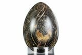 Polished Stromatolite (Greysonia) Egg - Bolivia #363465-1